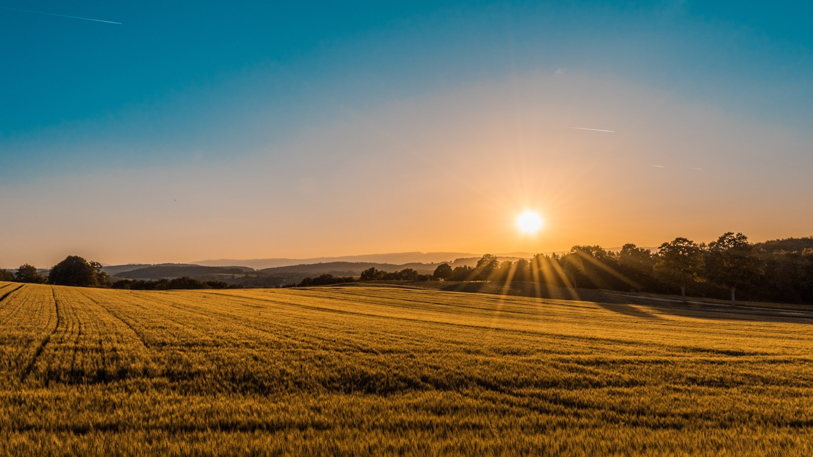 Rolling British countryside